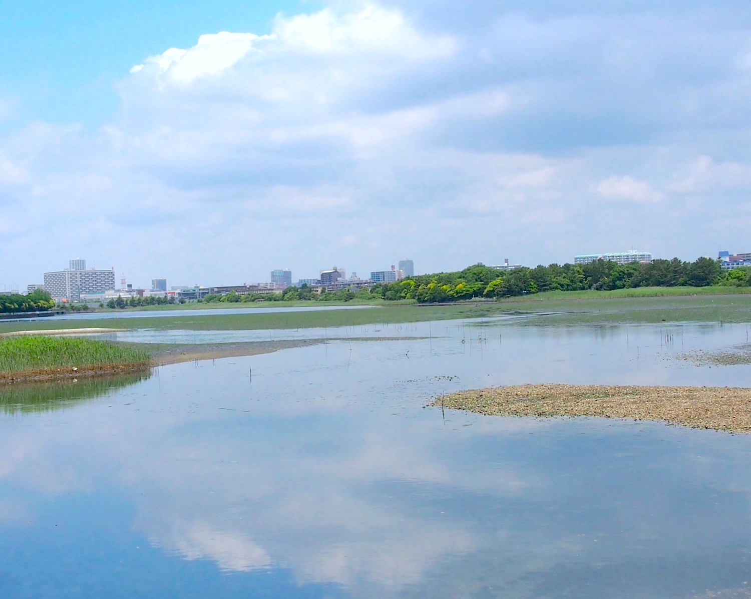 ラムサール条約登録湿地で「谷津干潟の日月間」イベント　クイズラリーも