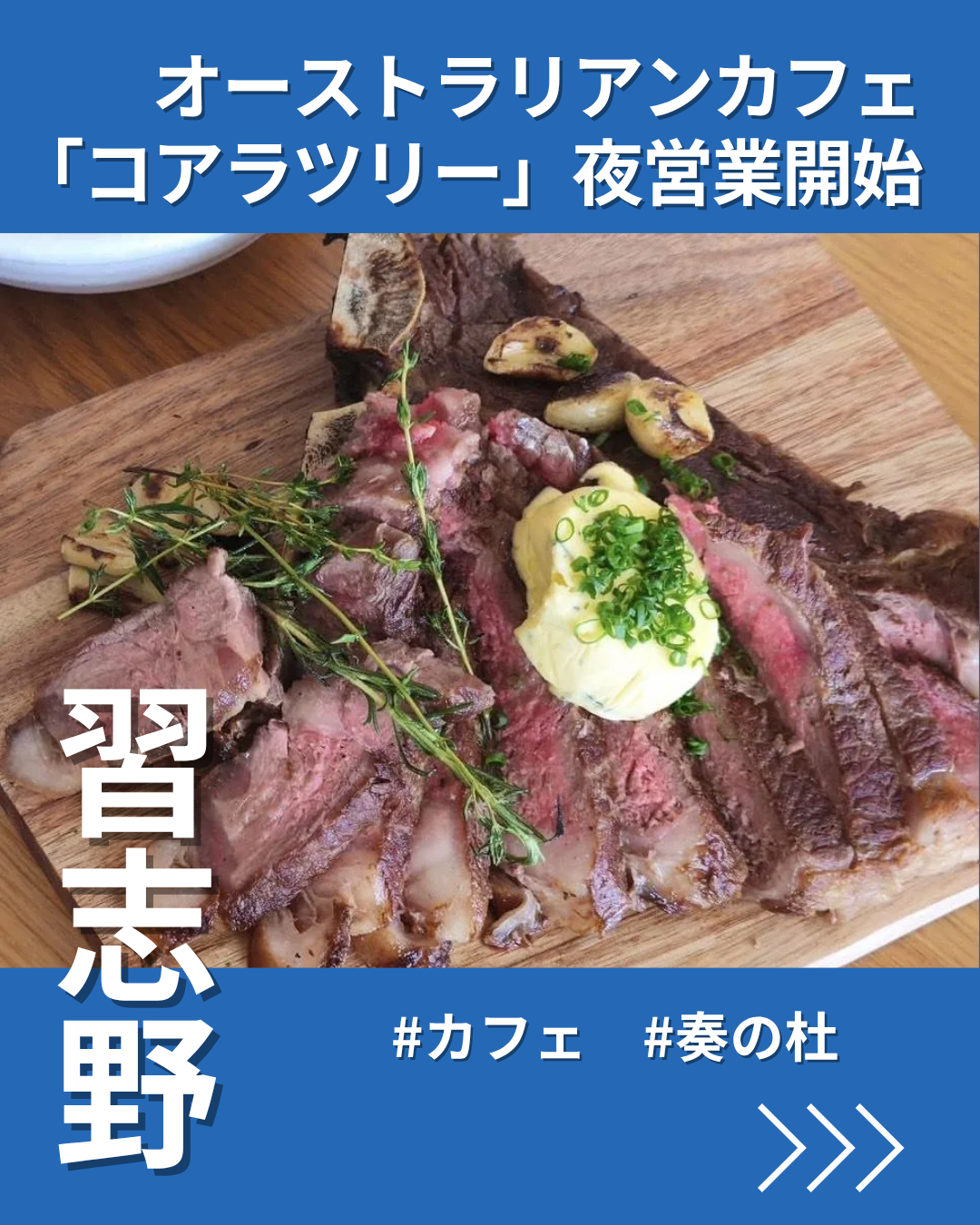習志野「コアラツリー」が夜営業開始 豪州の食文化「サーフ＆ターフ」提供